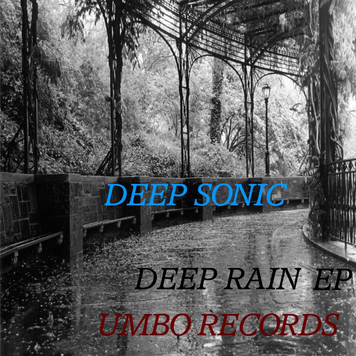 Deep Rain - Single by Deep Sonic album cover