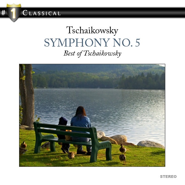 Tschaikowsky: Symphony No. 5 by SWR Symphony Orchestra album cover