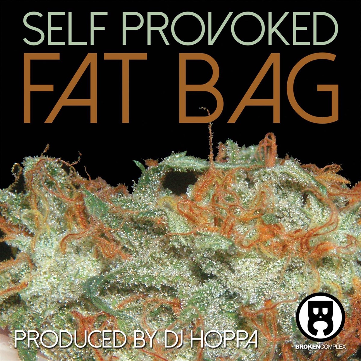Fat Bag of Weed - Single by Self Provoked & DJ Hoppa album cover