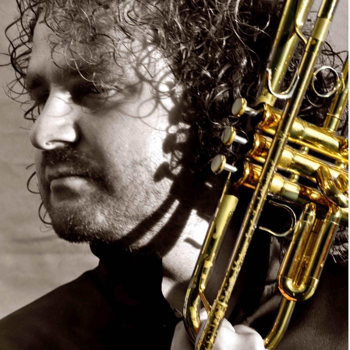 Haydn Live(S) - Single by Marco Pierobon album cover