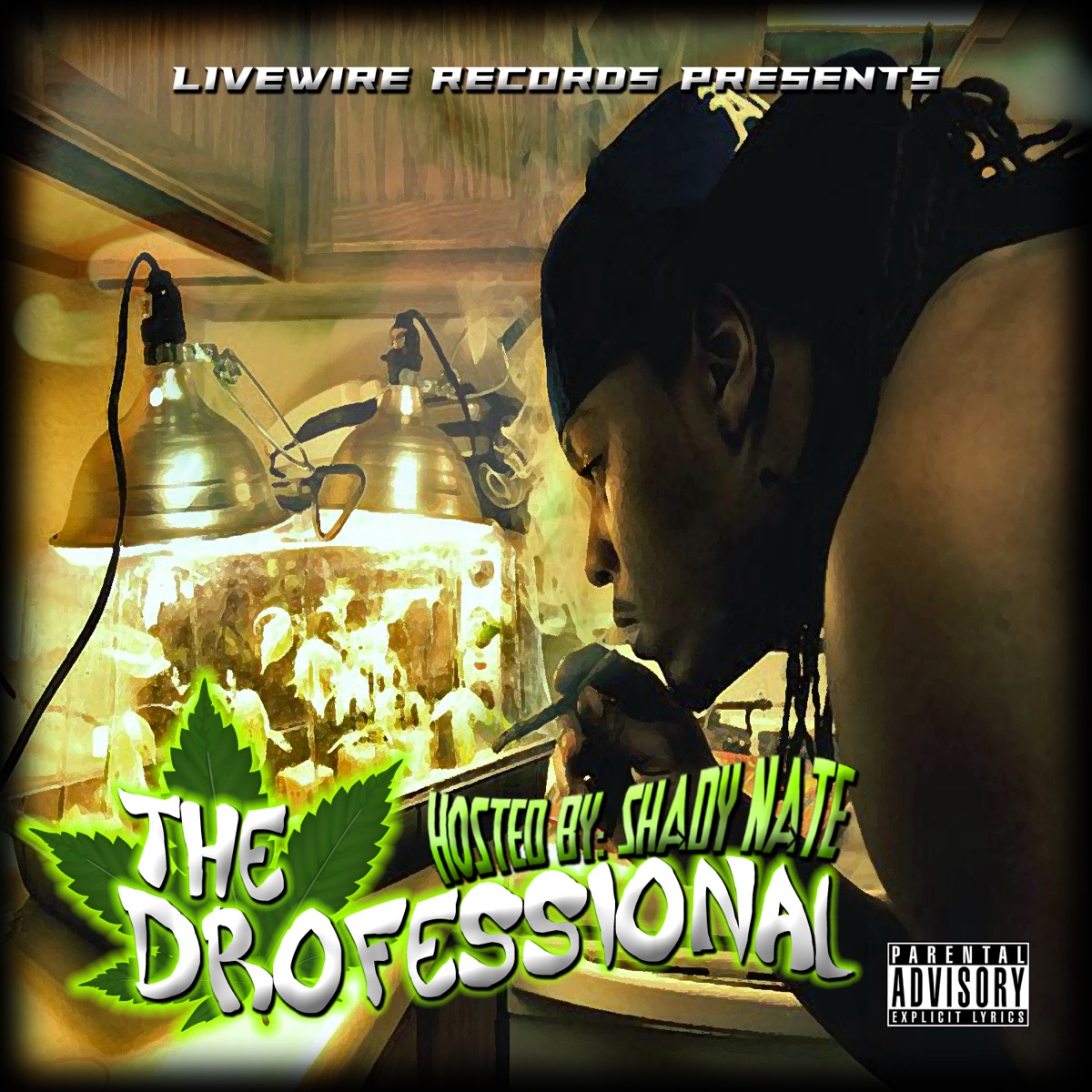 The Drofessional by Shady Nate album cover