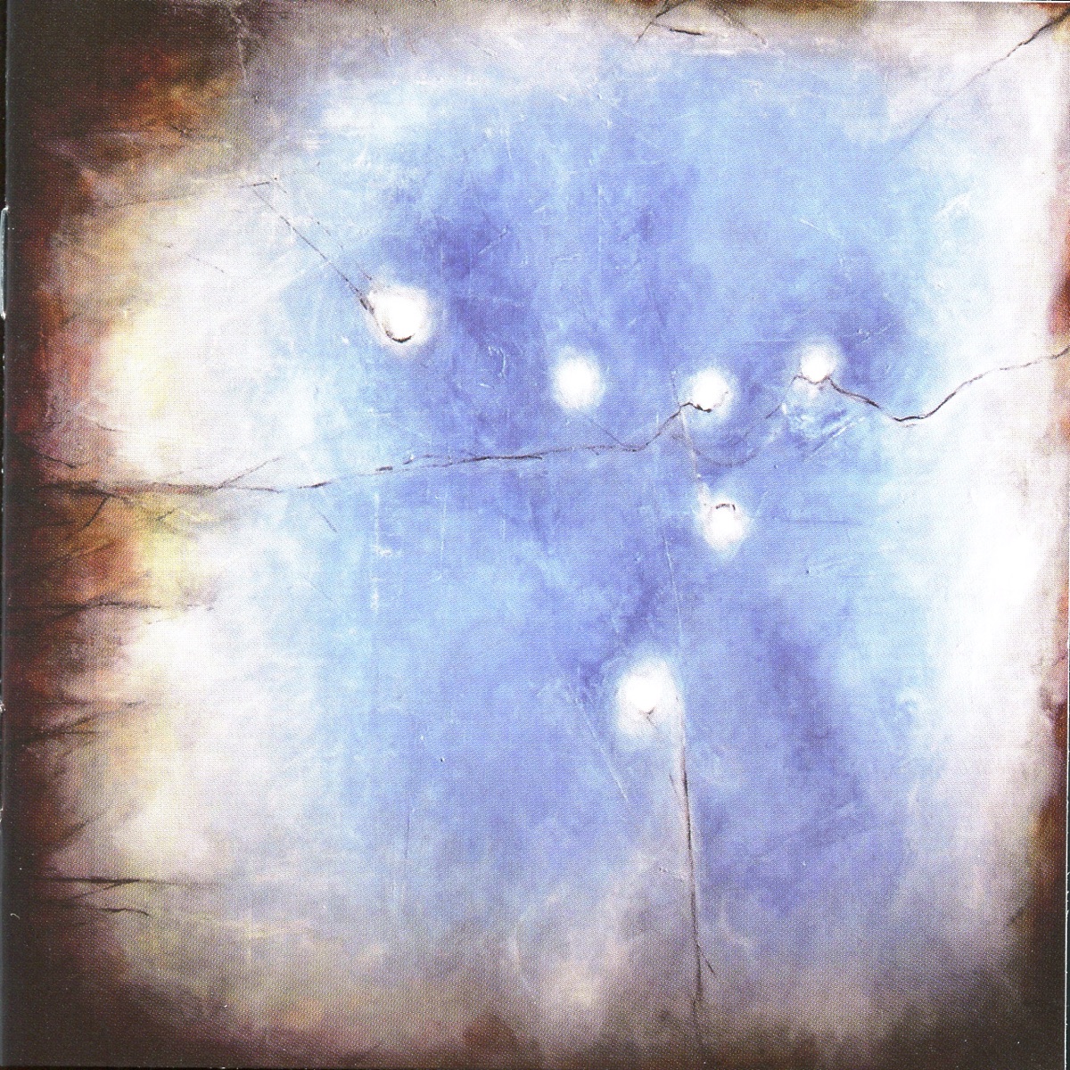 Delicate Fires by Tiresias, Mark Takeshi McGregor & Rachel Kiyo Iwaasa album cover