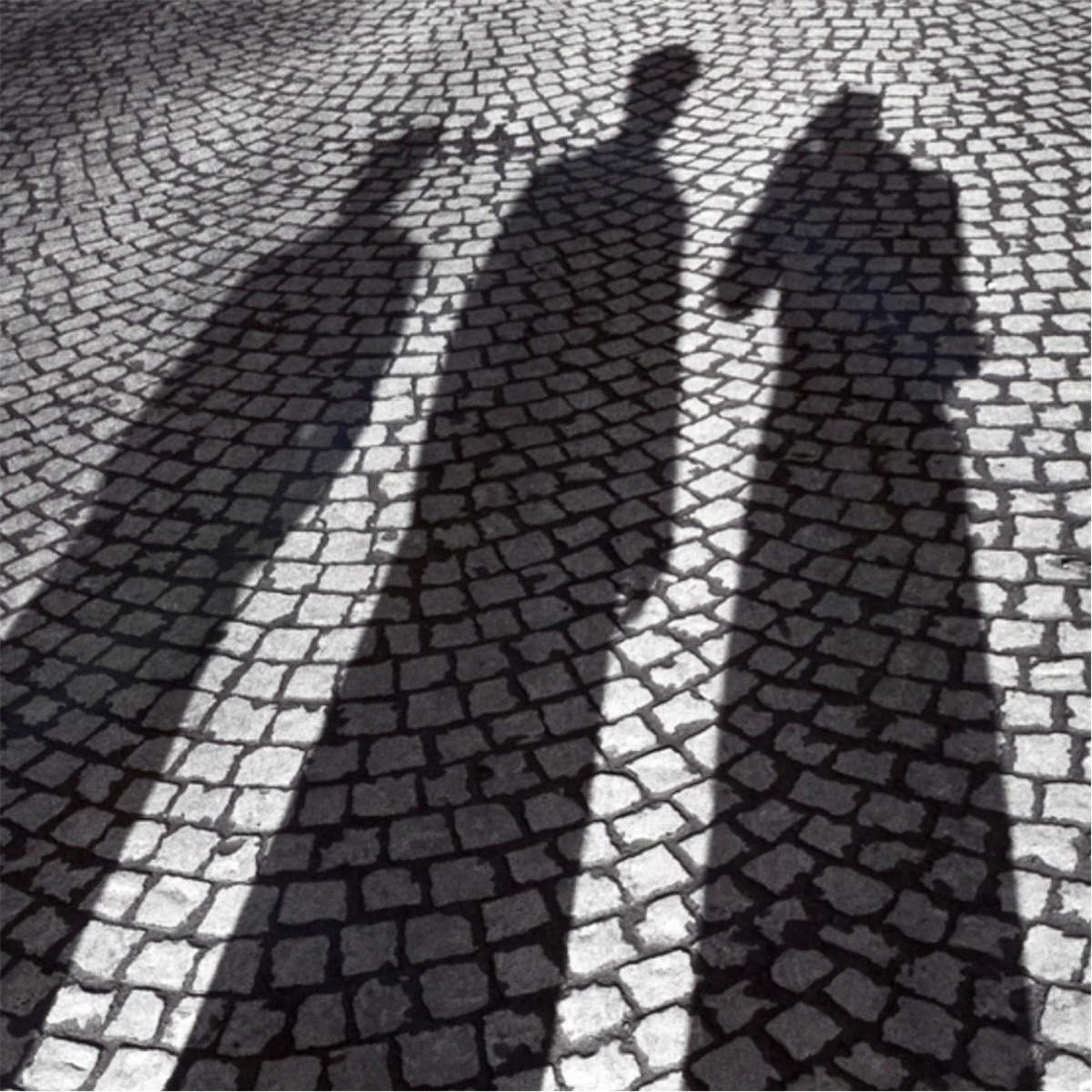 Shadows - Single by Chris album cover
