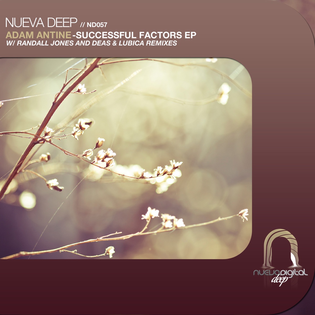 Successful Factors by Adam Antine album cover