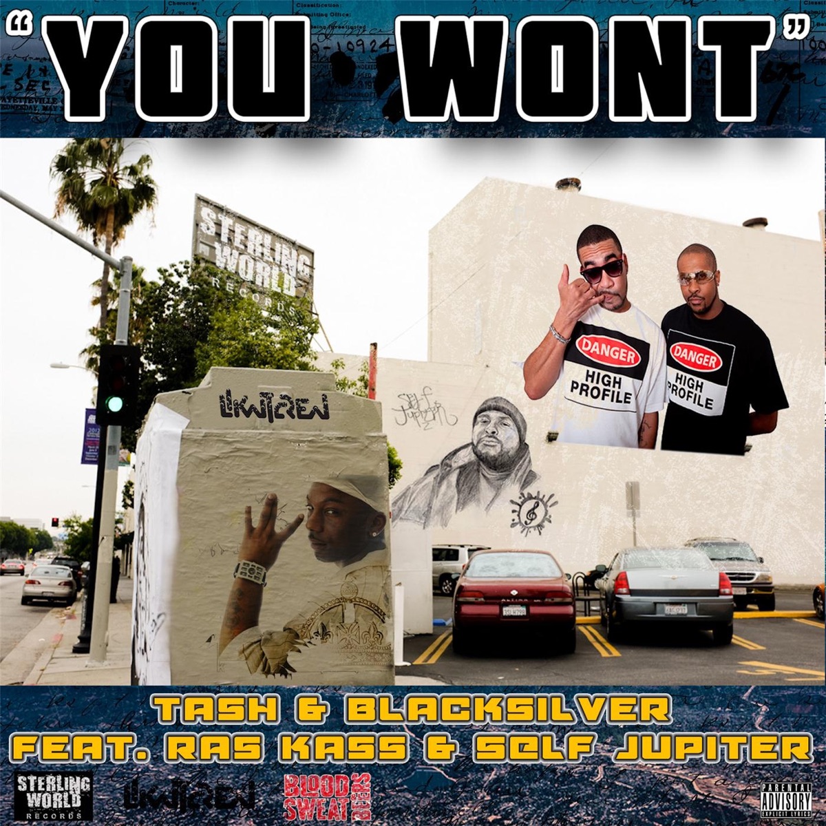 You Wont (feat. Ras Kass & Self Jupiter) - Single by Tash & Black Silver album cover
