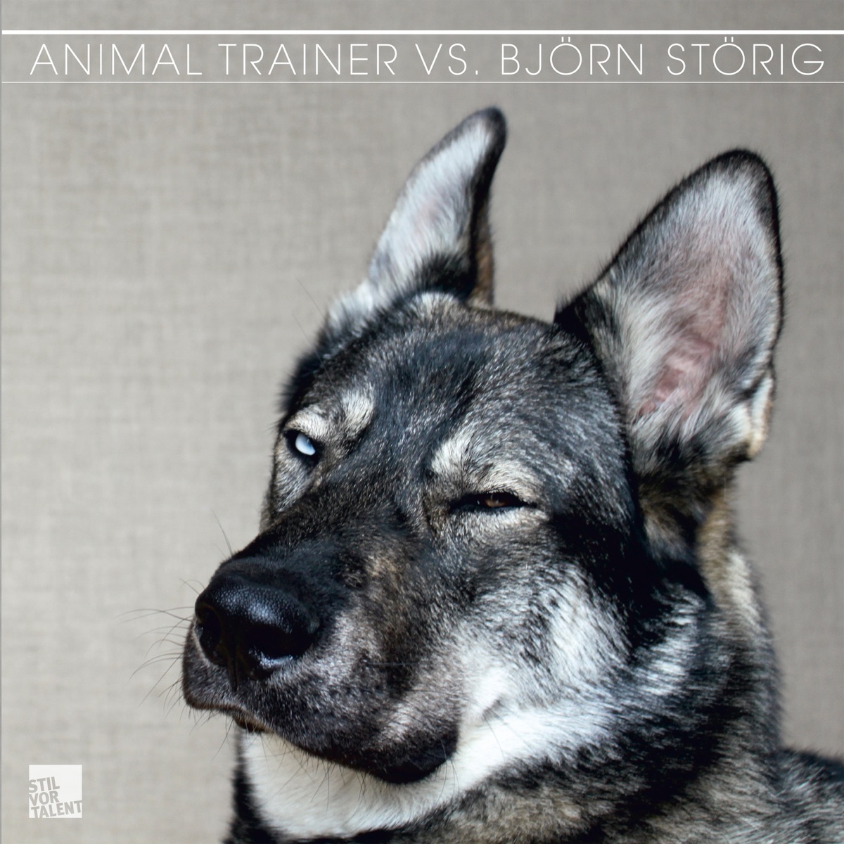 Animal Trainer vs. Björn Störig - EP by Animal Trainer & Björn Störig album cover