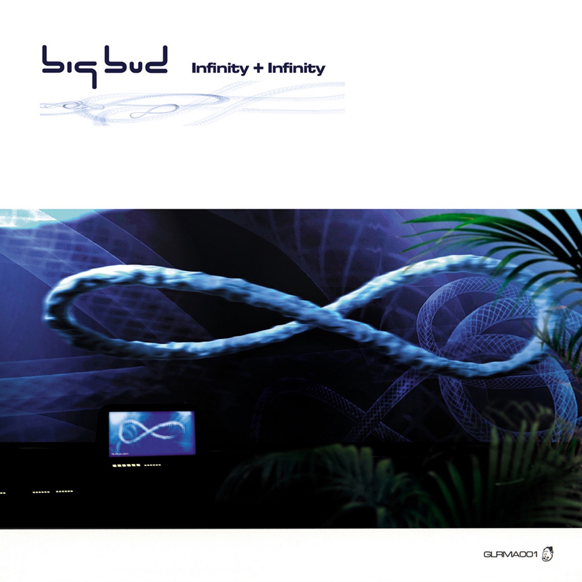 Infinity + Infinity by Big Bud album cover
