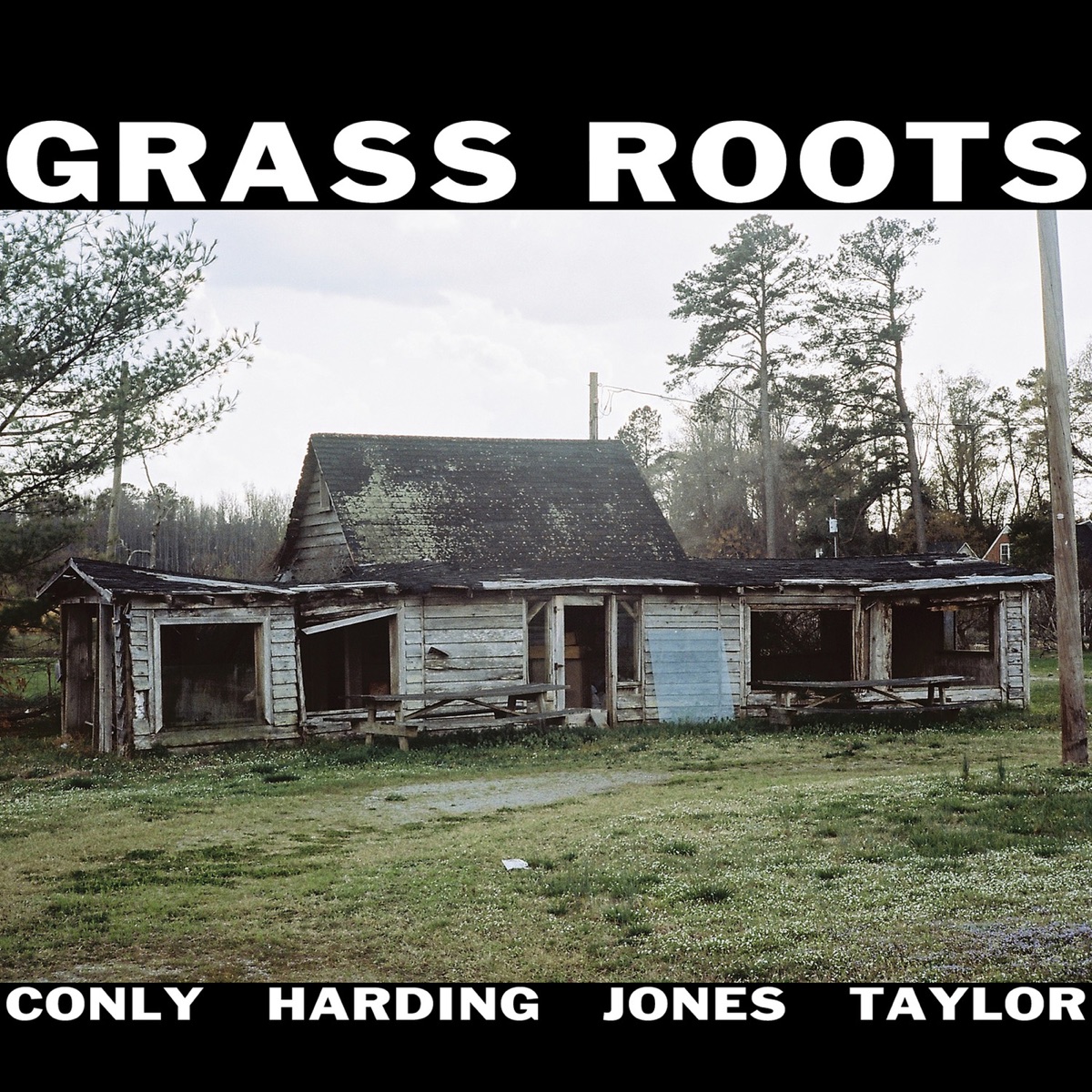 Grass Roots (feat. Chad Taylor, Darius Jones, Alex Harding & Sean Conly) by Grass Roots album cover
