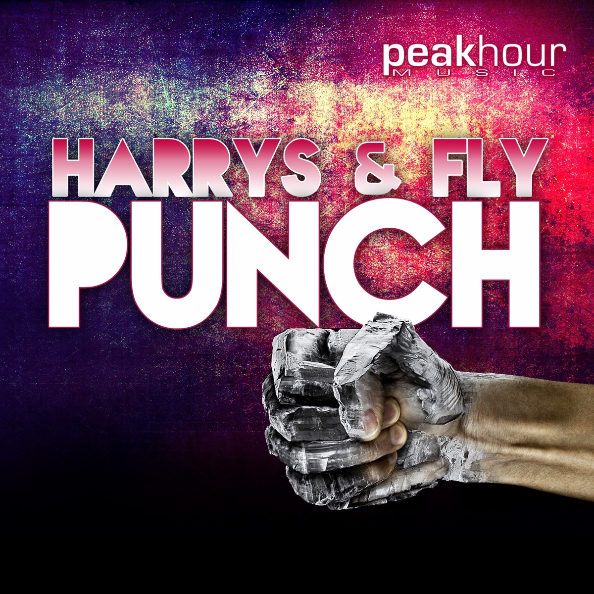 Punch - Single by Harrys & Fly album cover