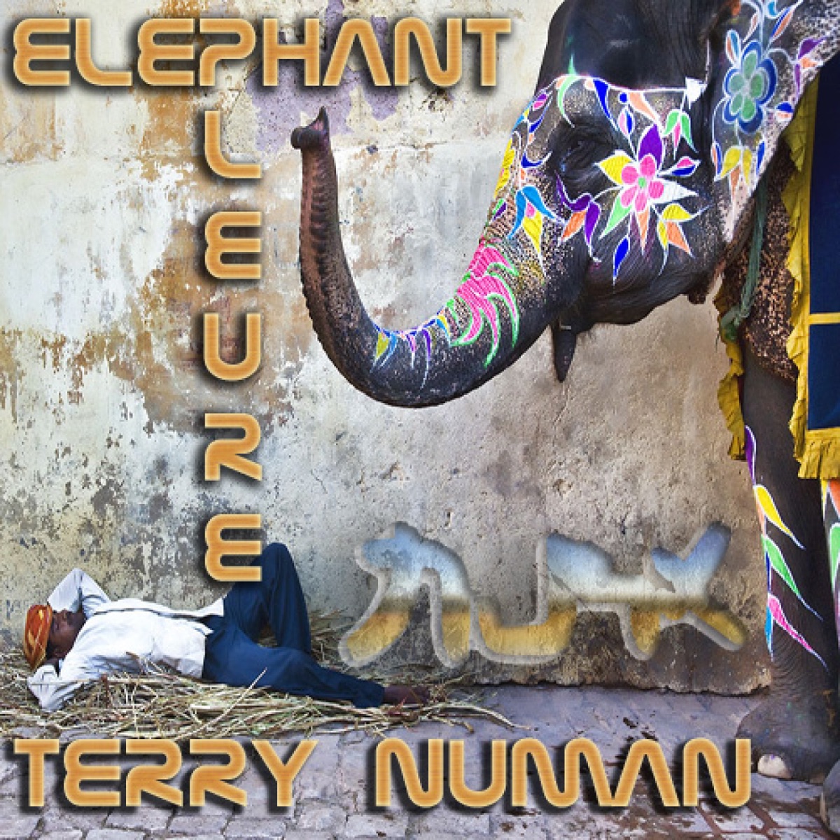 TERRY NUMAN - Single by Terry Numan album cover