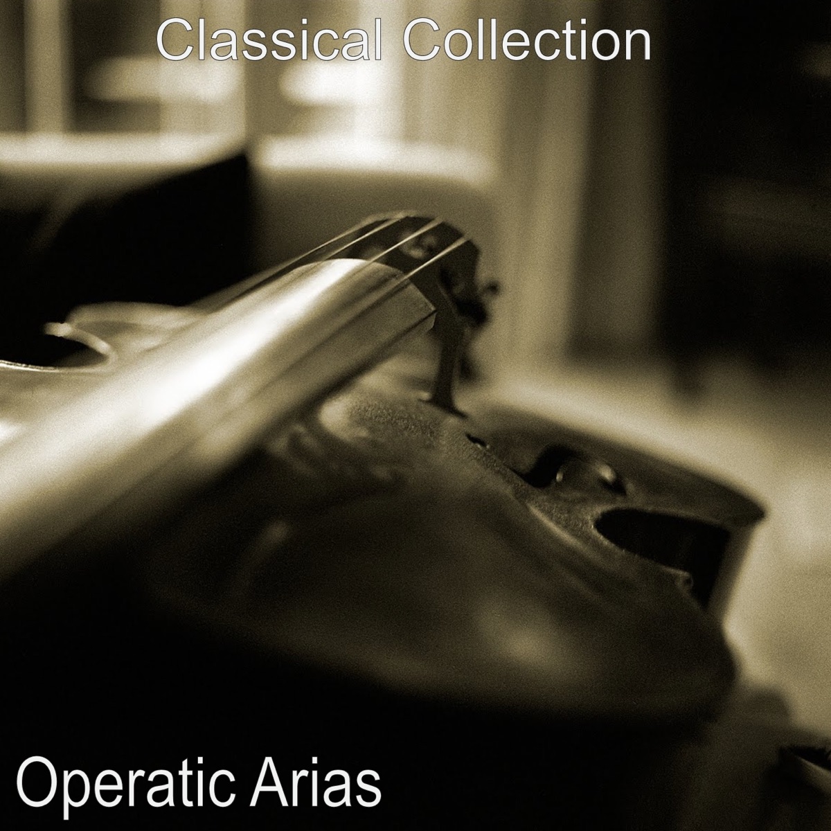 Operatic Arias by Radio Bratislava Symphony Orchestra, Ondrej Lenárd & Magdalena Blahusiakova album cover