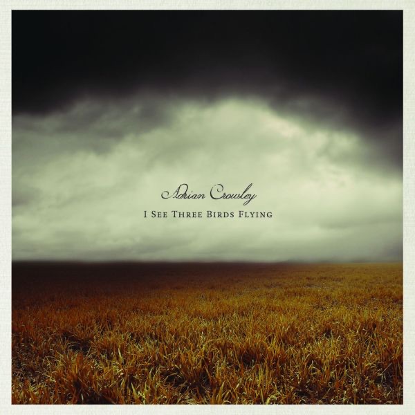 I See Three Birds Flying by Adrian Crowley album cover