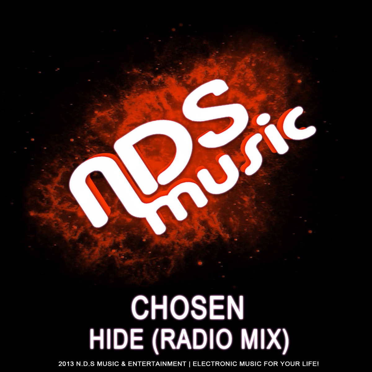 Hide (Radio Mix) - Single by Chosen album cover