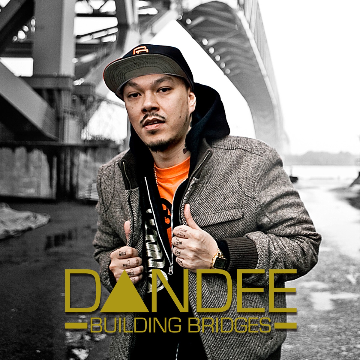 BUILDING BRIDGES by Dandee album cover