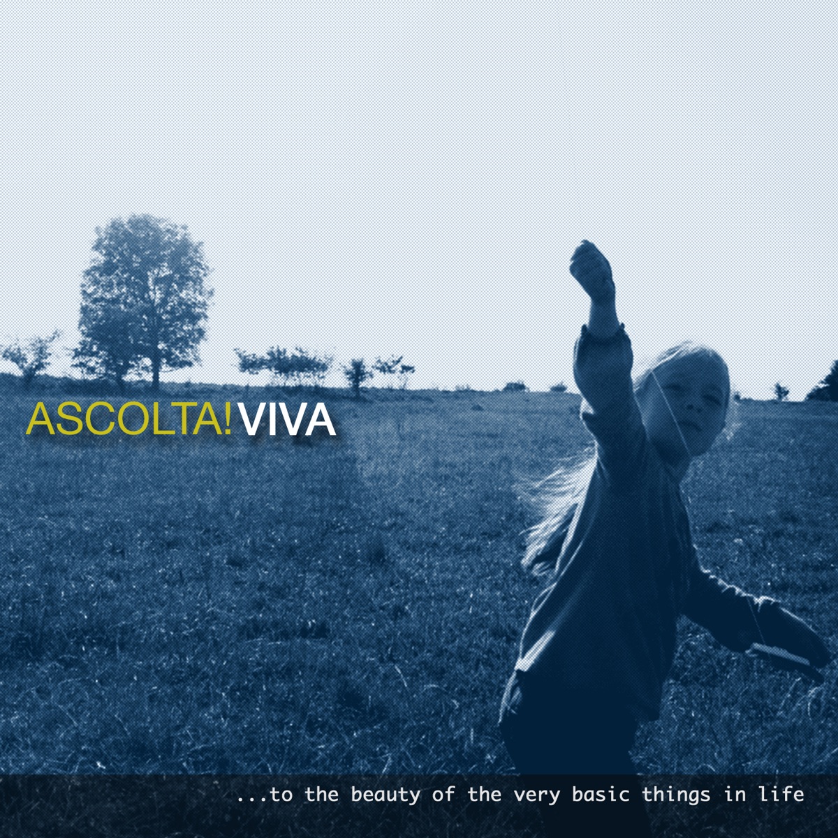 Viva: Dirk Maassen / Project Ascolta!) by Dirk Maassen album cover