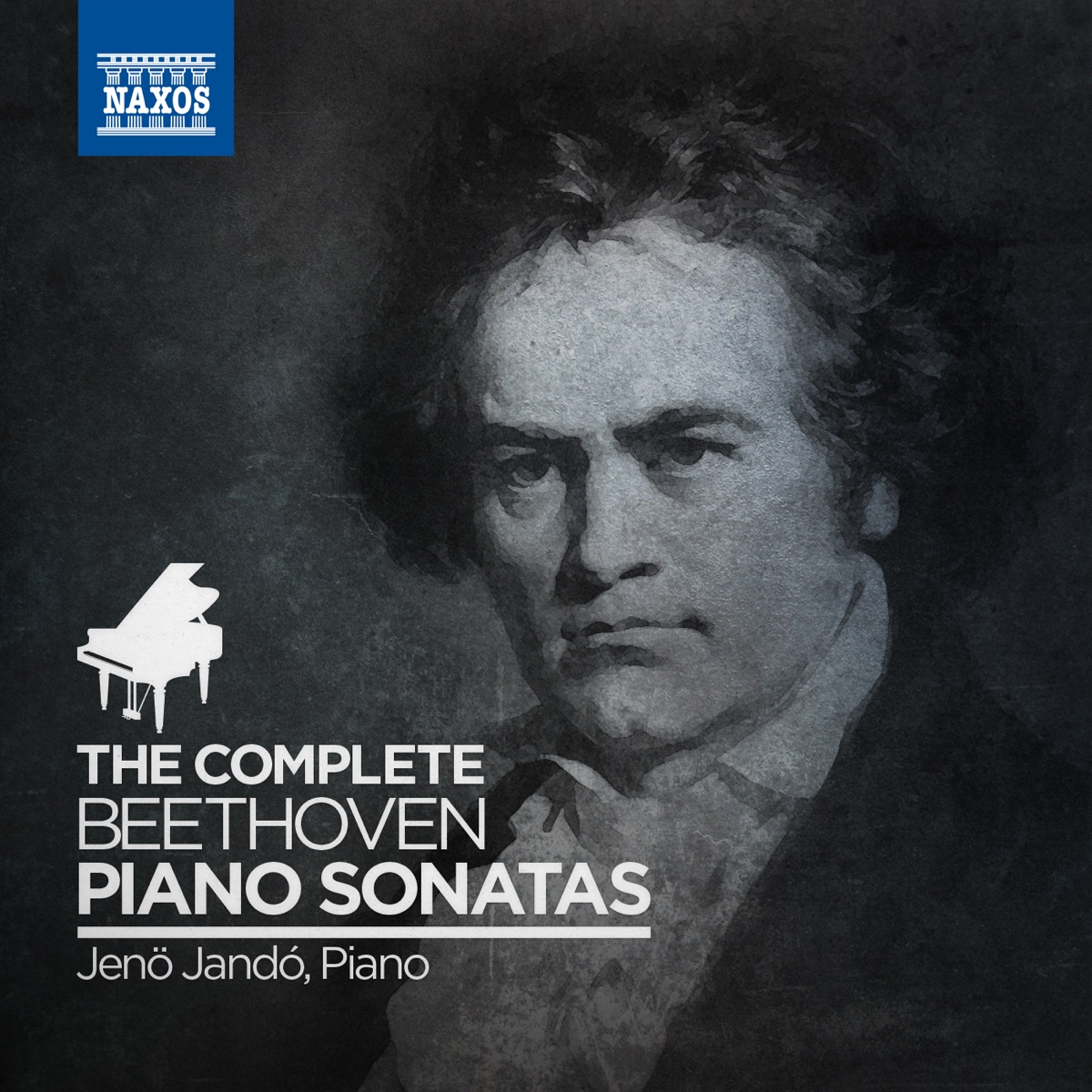 Beethoven: Complete Beethoven Piano Sonatas (Virtual Box Set) by Jenő Jandó album cover