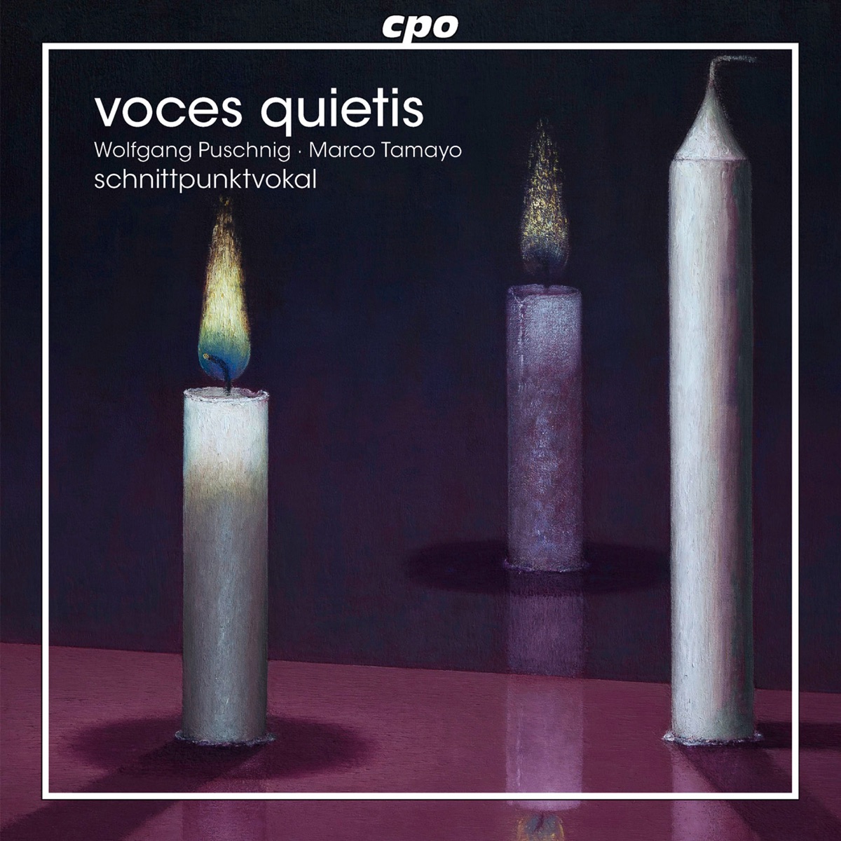 Voces quietis by Schnittpunktvokal Male Quartet, Marco Tamayo & Wolfgang Puschnig album cover