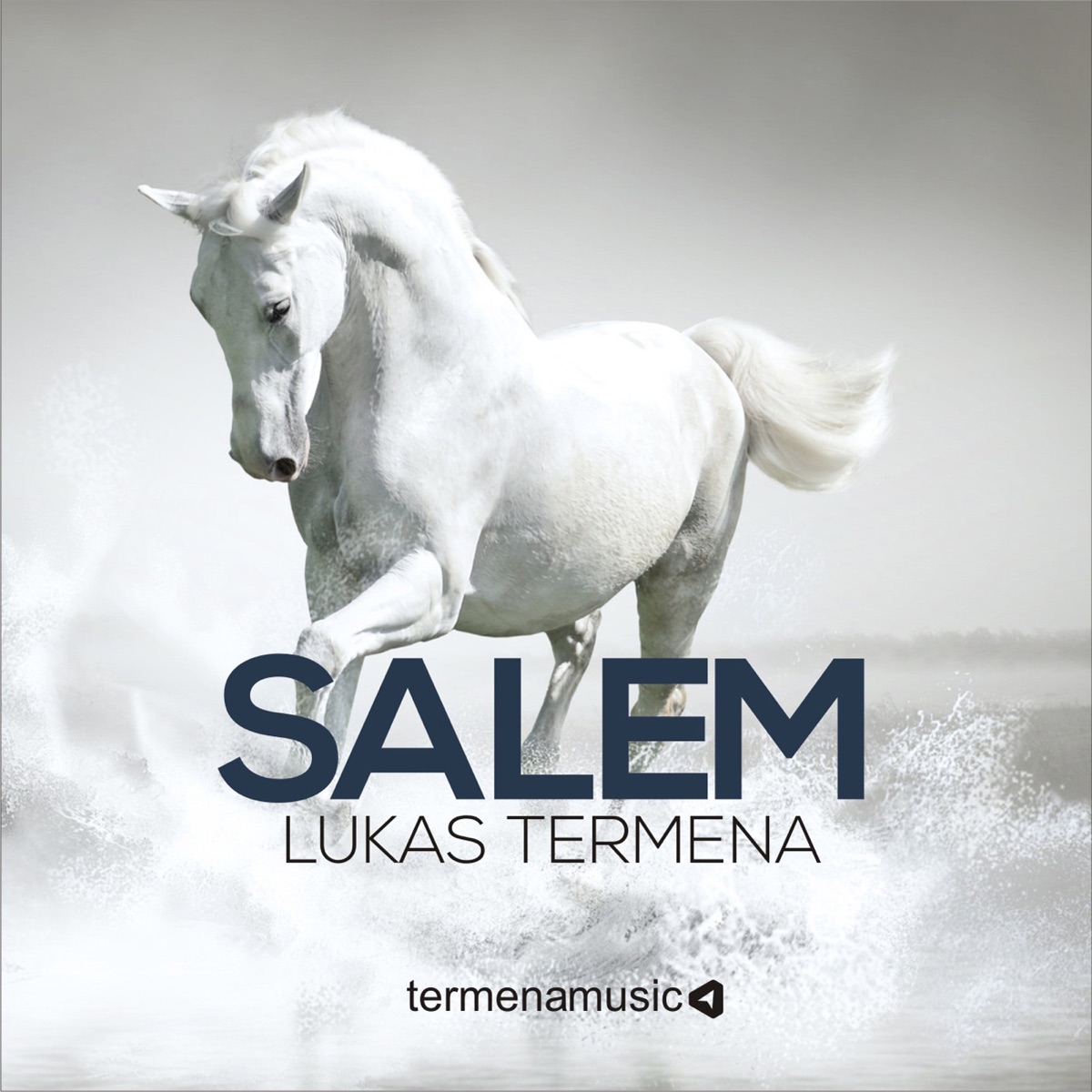 Salem by Lukas Termena album cover