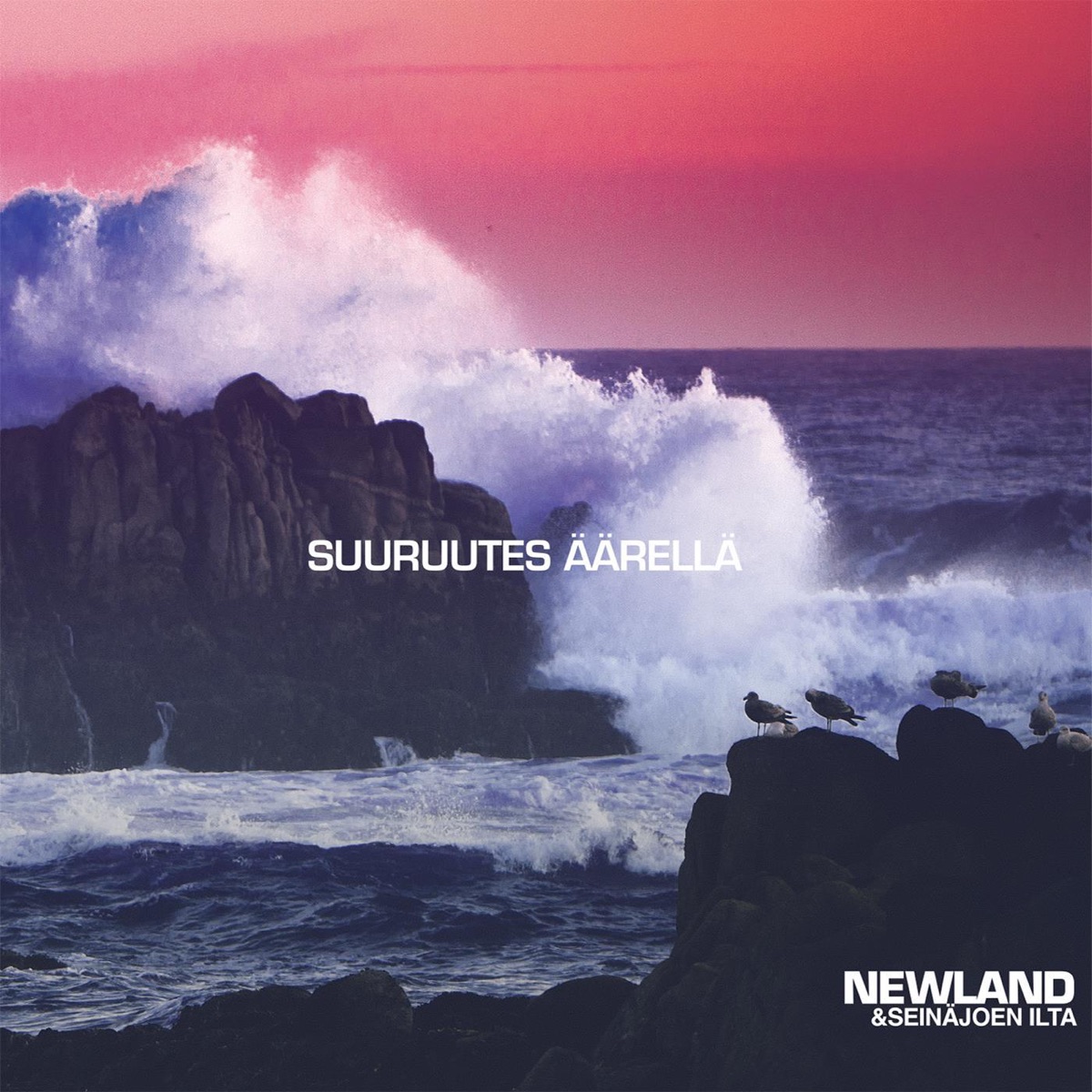 Suuruutes Äärellä by NEWLAND album cover