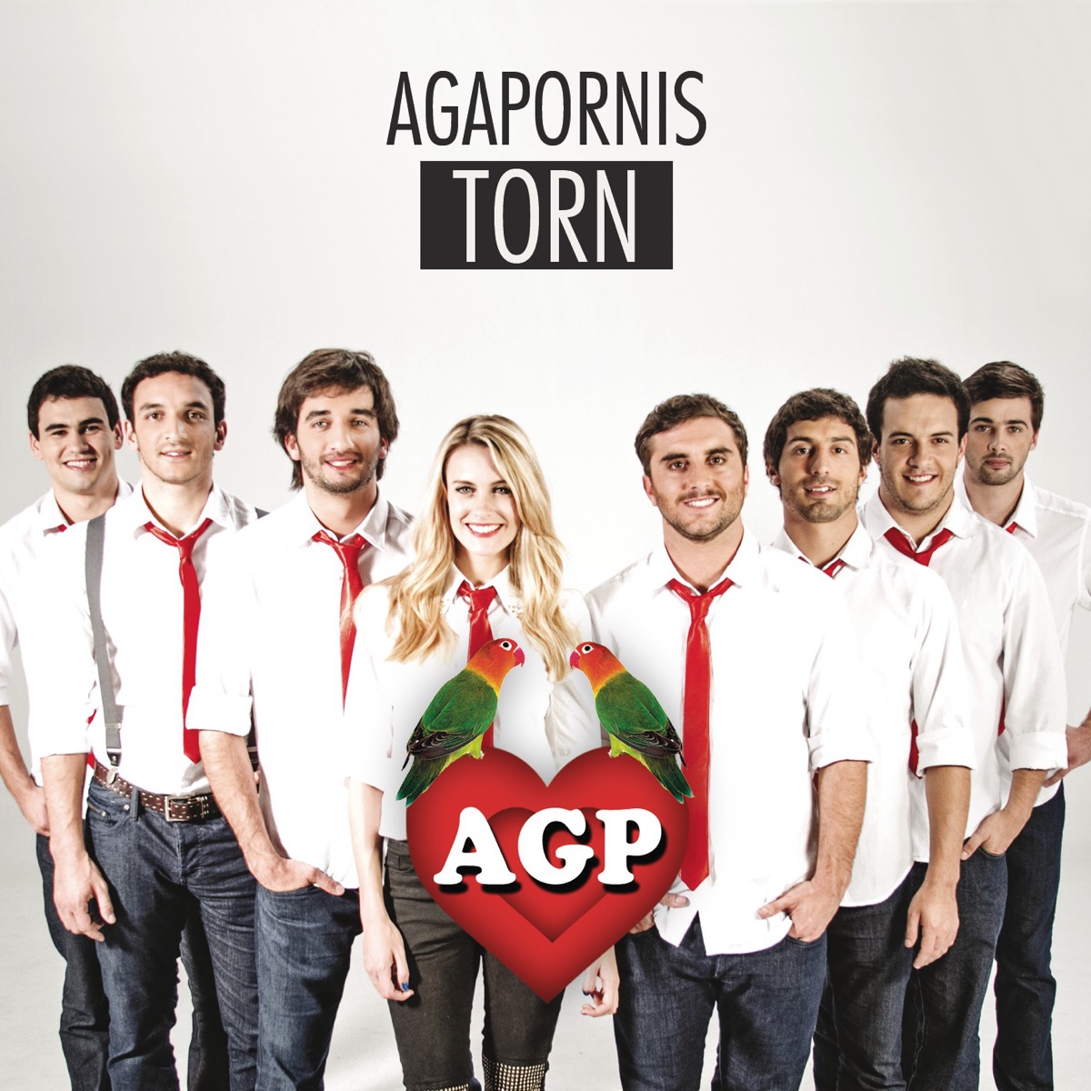 Torn - Single by Agapornis album cover