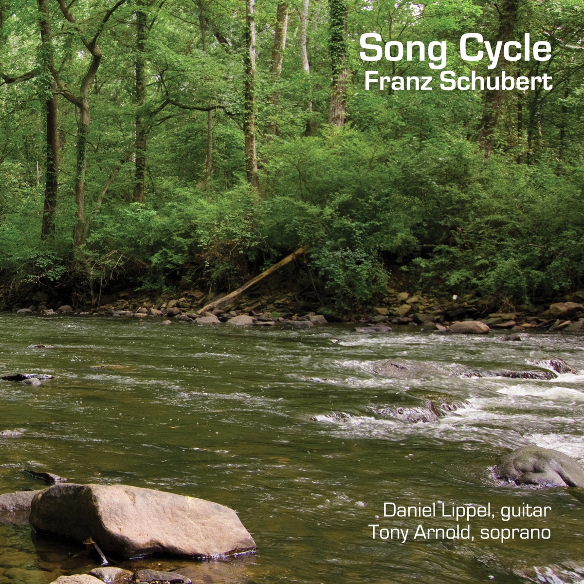 Schubert: Song Cycle by Daniel Lippel & Tony Arnold album cover