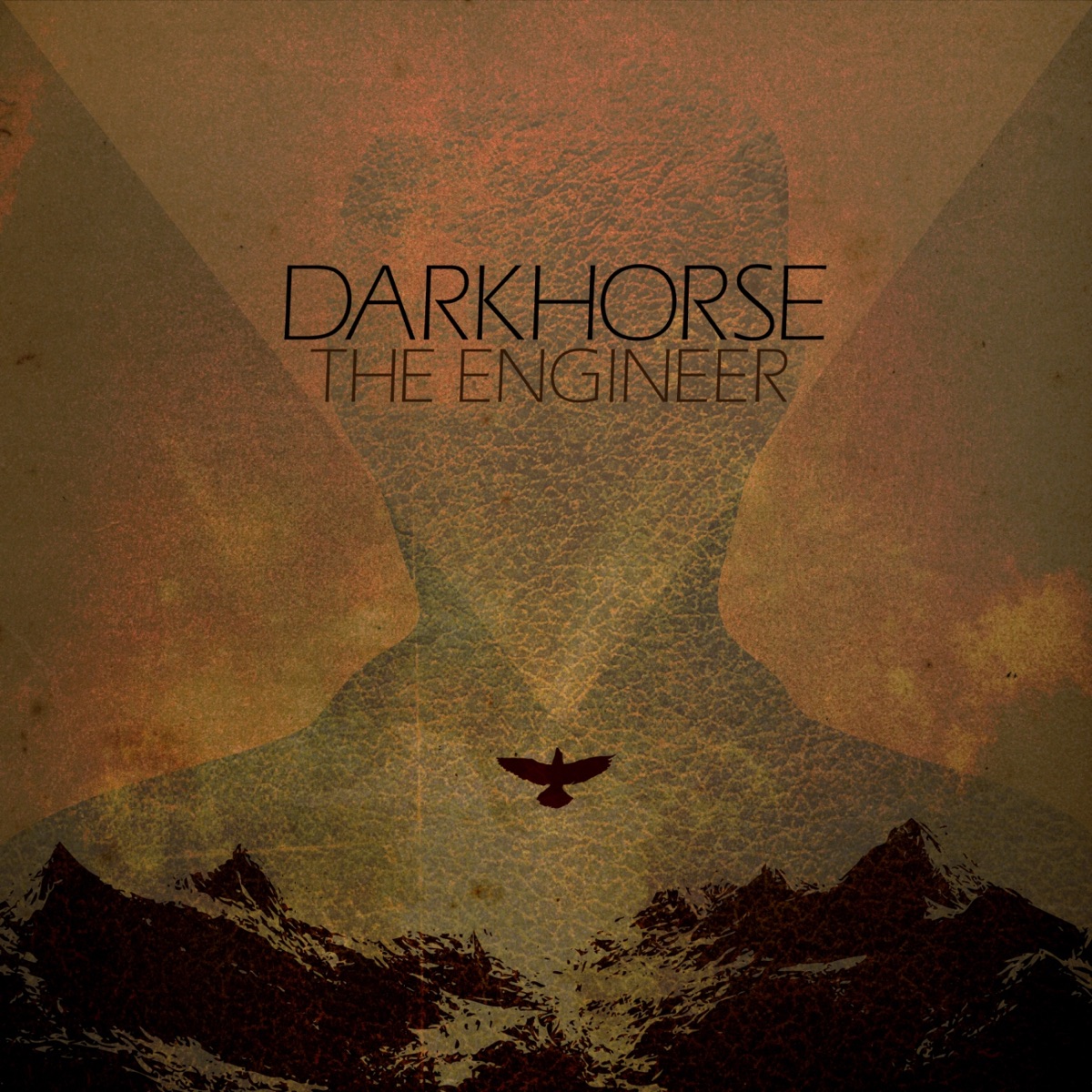 The Engineer by Darkhorse album cover