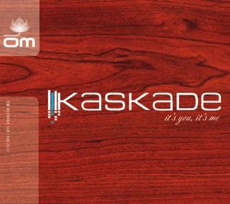 It's You, It's Me by Kaskade album cover