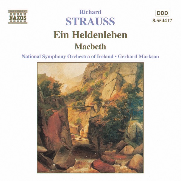 Ein Heldenleben (A Hero's Life) by Gerhard Markson & RTÉ National Symphony Orchestra album cover