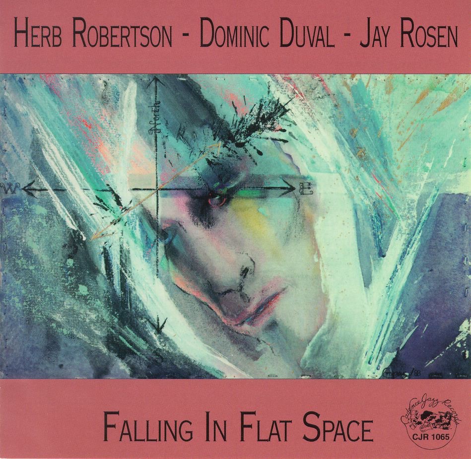 Falling in Flat Space by Dominic Duval, Herb Robertson & Jay Rosen album cover
