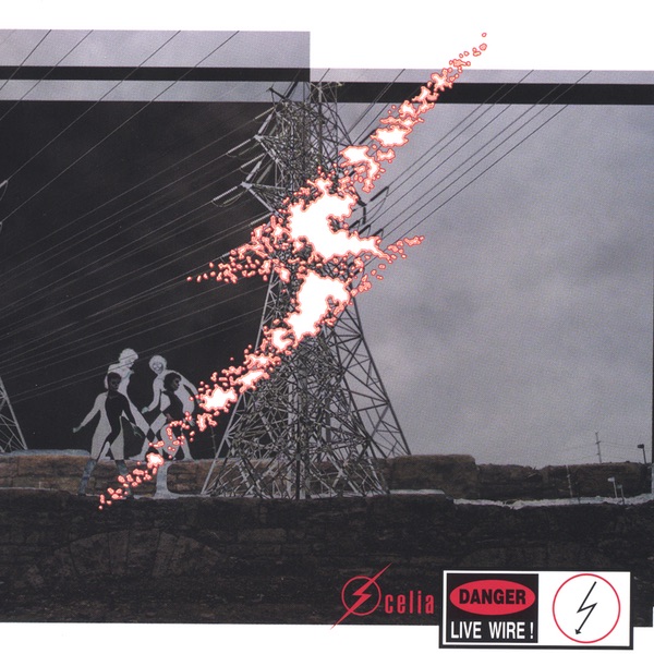 DANGER: LIVE WIRE! by Celia album cover