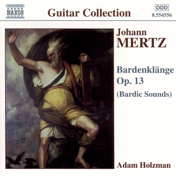 Mertz: Bardenklange by Adam Holzman album cover