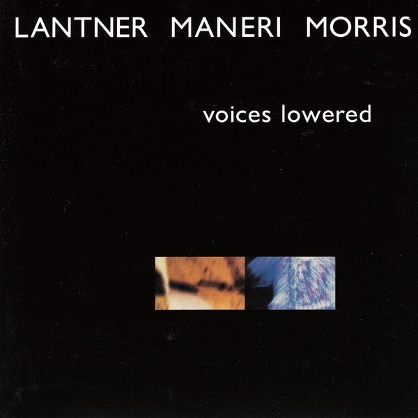 Voices Lowered by Steve Lantner, Joe Maneri & Joe Morris album cover