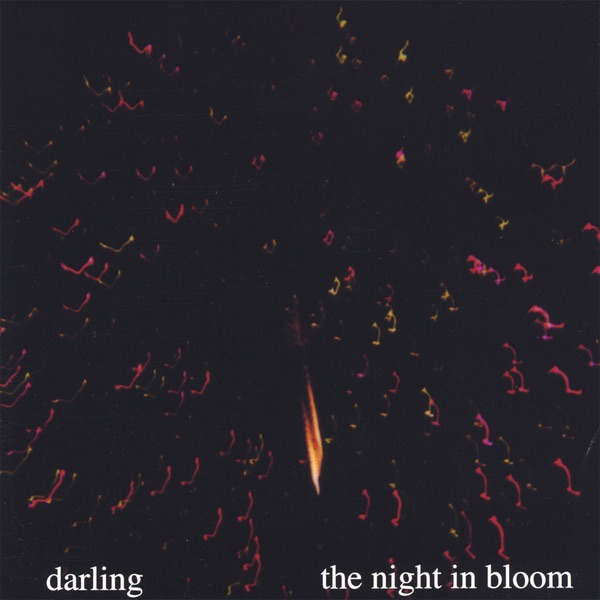The Night In Bloom by Darling album cover