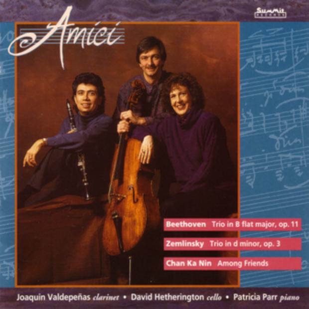 Amici by Amici Chamber Ensemble album cover