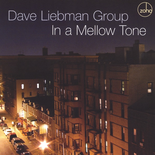In a Mellow Tone by Dave Liebman Group album cover