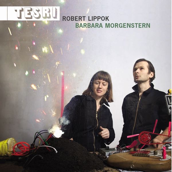 Tesri by Barbara Morgenstern & Robert Lippok album cover