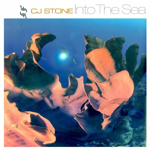 Into the Sea - EP by CJ Stone album cover