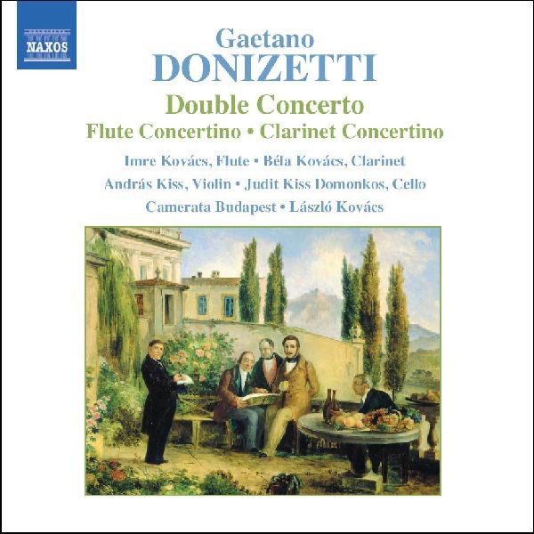 Donizetti: Double Concerto - Flute Concertino - Clarinet Concertino by Camerata Budapest & Laszlo Kovacs album cover