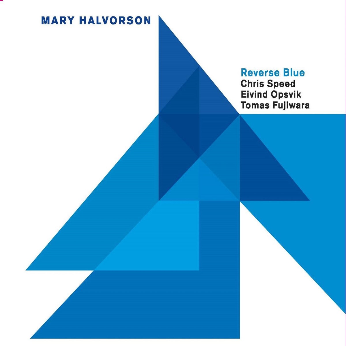 Reverse Blue (feat. Chris Speed, Eivind Opsvik & Tomas Fujiwara) by Mary Halvorson album cover