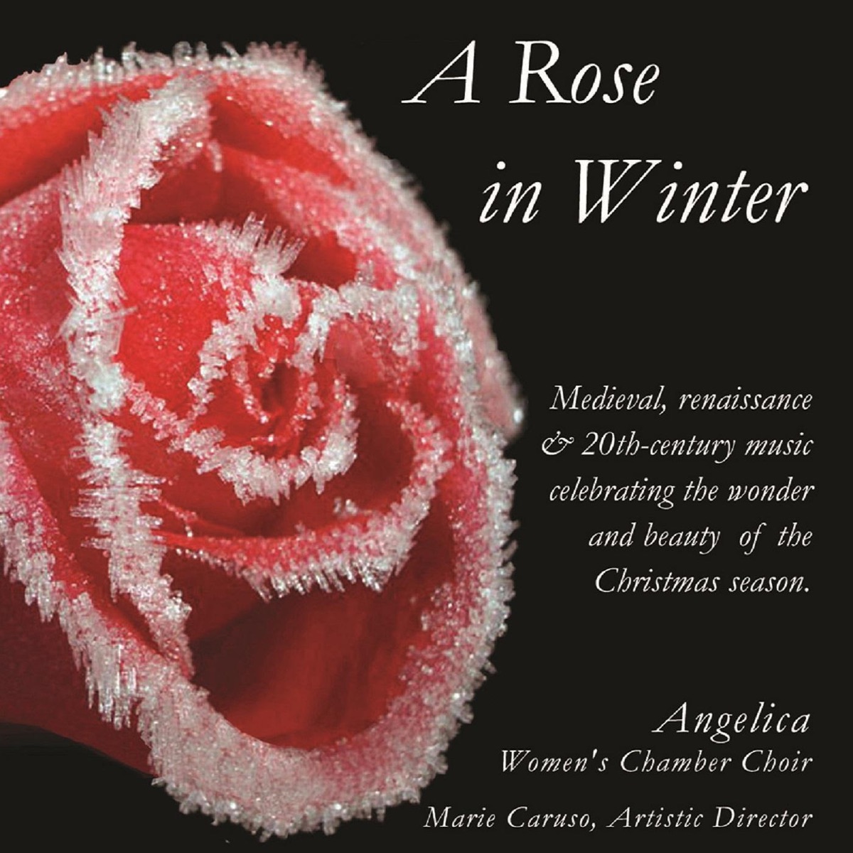A Rose in Winter by Angelica Women's Chamber Choir album cover
