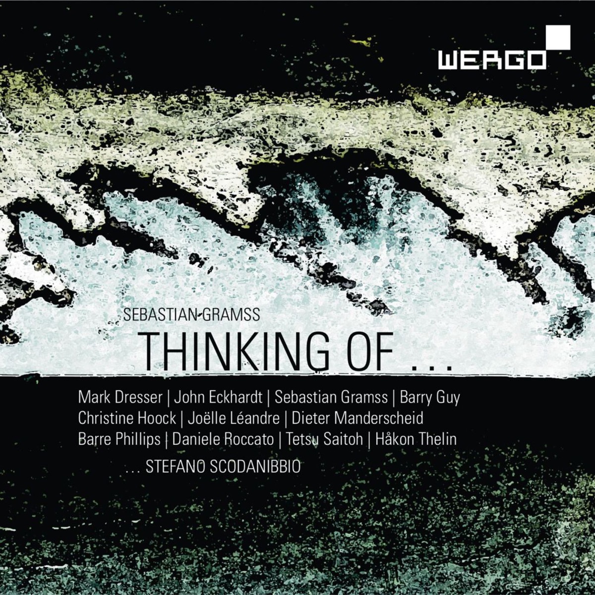 Gramss, Dresser, Eckhardt, Guy, Hoock, Léandre, Phillips, Roccato, Saitoh, Thelin & Scodanibbio: Thinking of Stefano Scodanibbio by Various Artists album cover