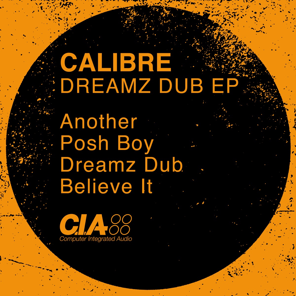 Dreamz Dub - EP by Calibre album cover