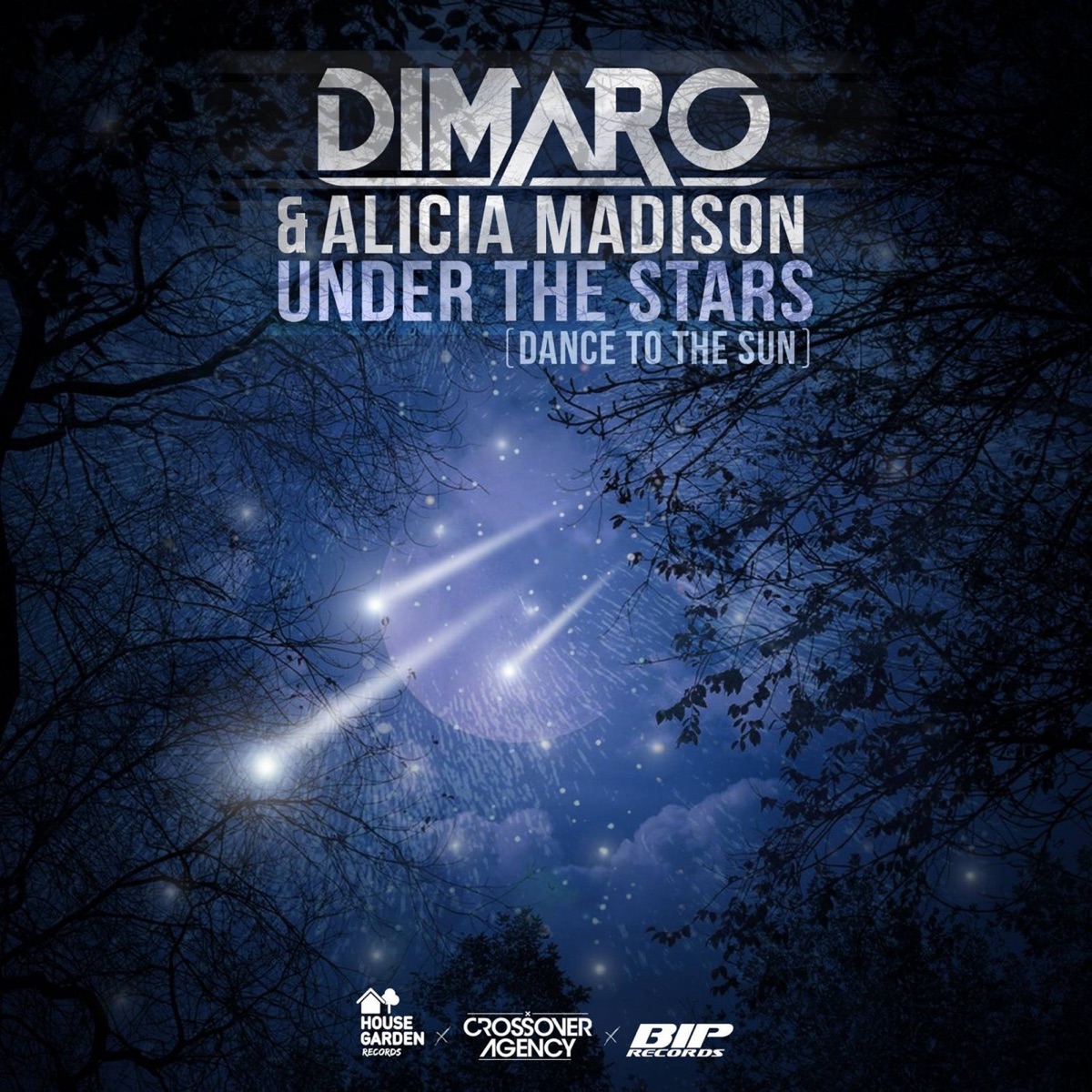 Under the Stars - Single by diMaro & Alicia Madison album cover