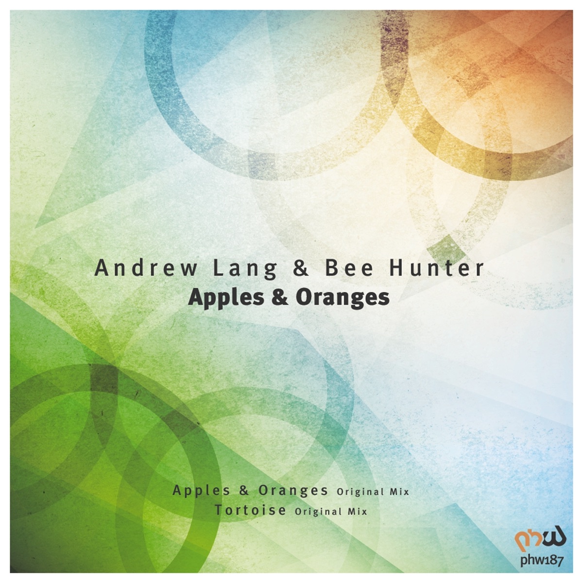 Apples and Oranges - Single by Andrew Lang & Bee Hunter album cover