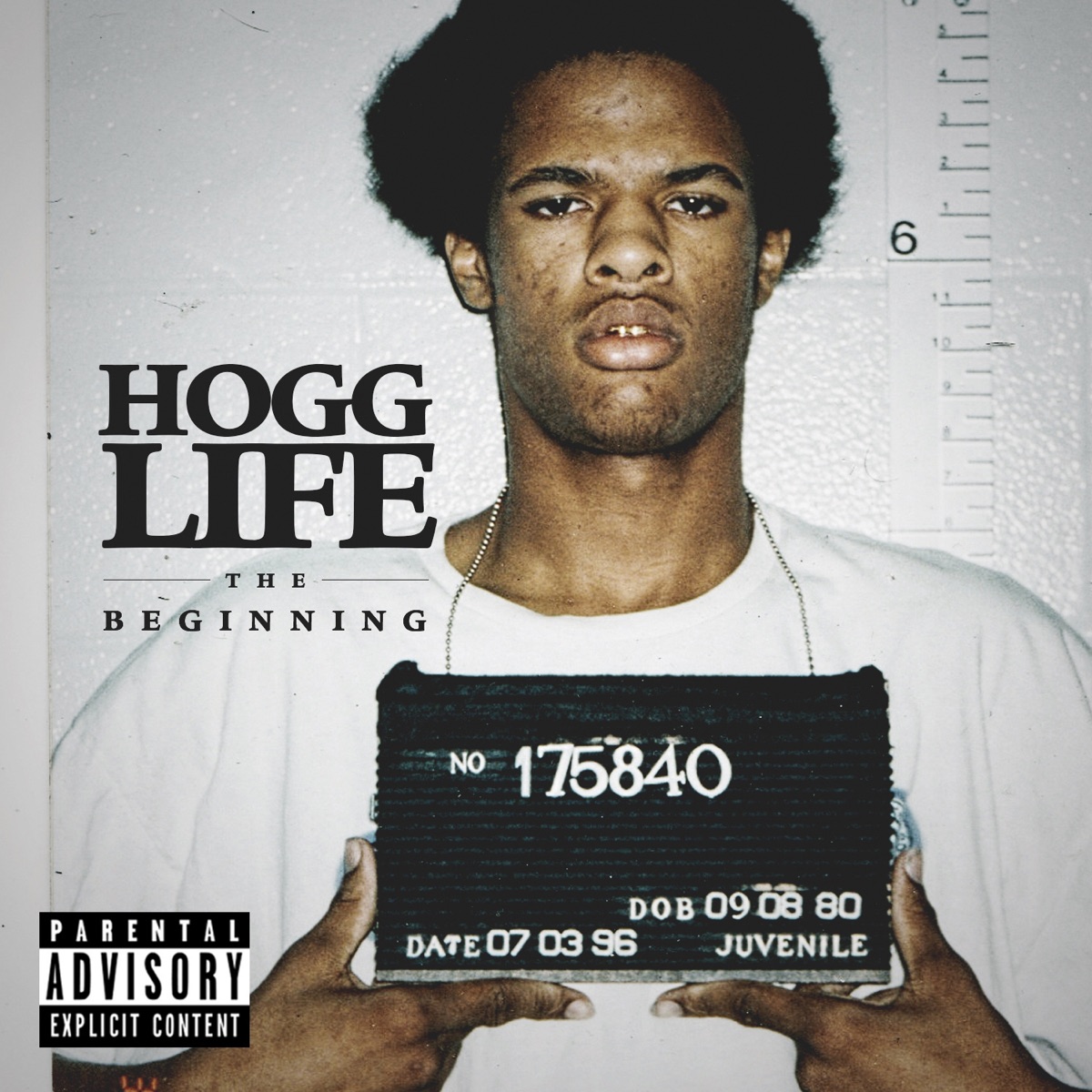Hogg Life: The Beginning by Slim Thug album cover