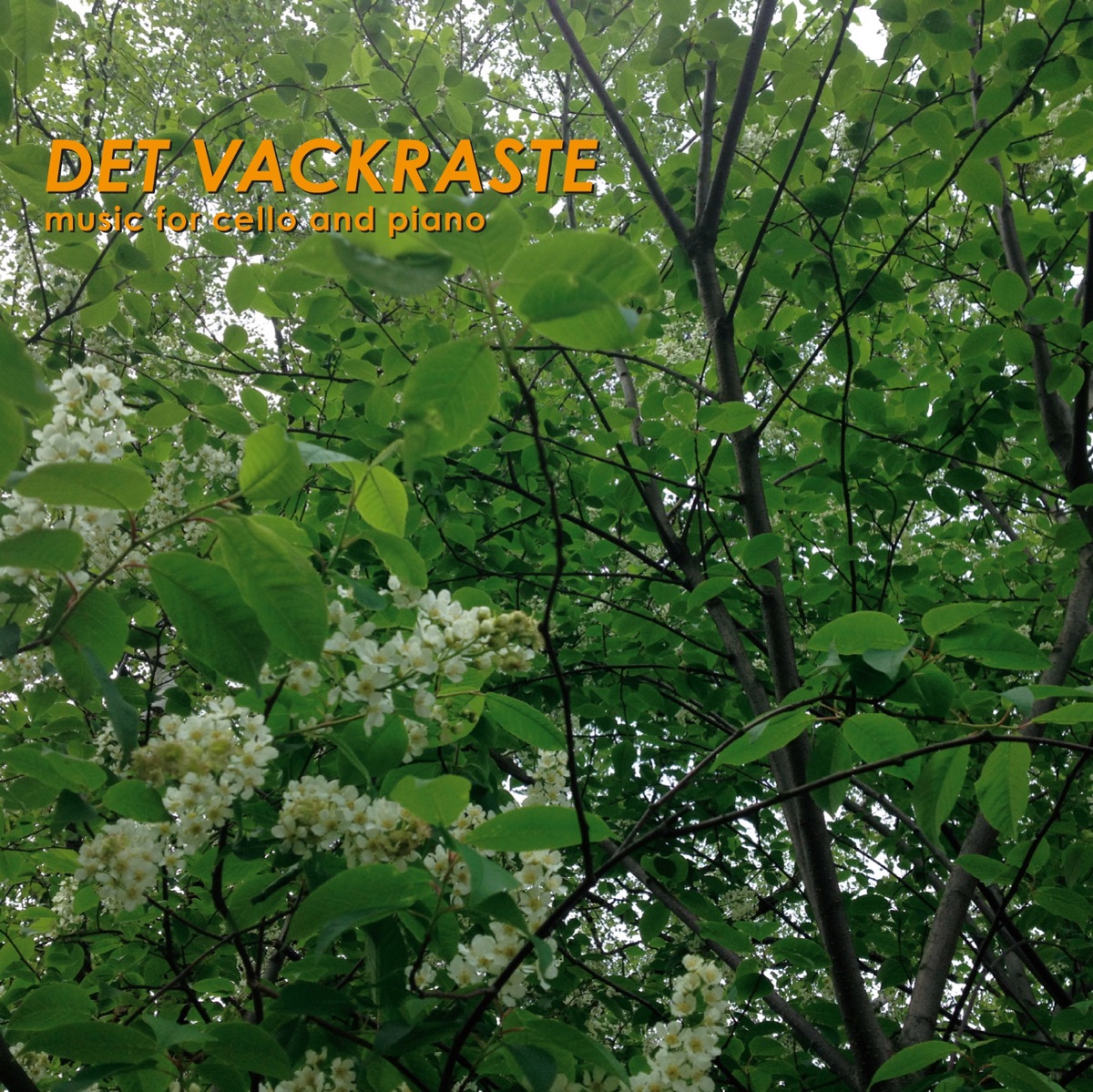 Det Vackraste by Carl-Axel Dominique & John Ehde album cover
