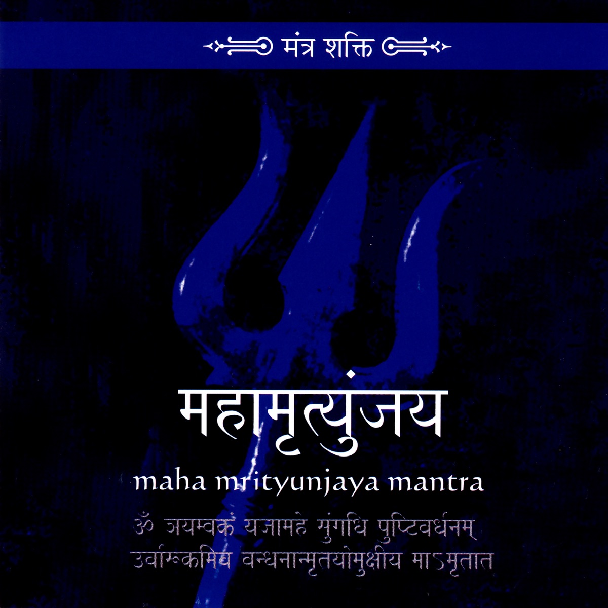 Maha Mrityunjaya Mantra by Suresh Wadkar album cover