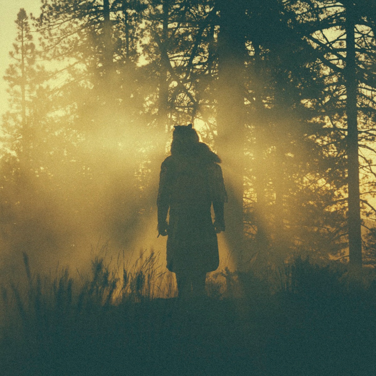 The Beyond / Where the Giants Roam by Thundercat album cover