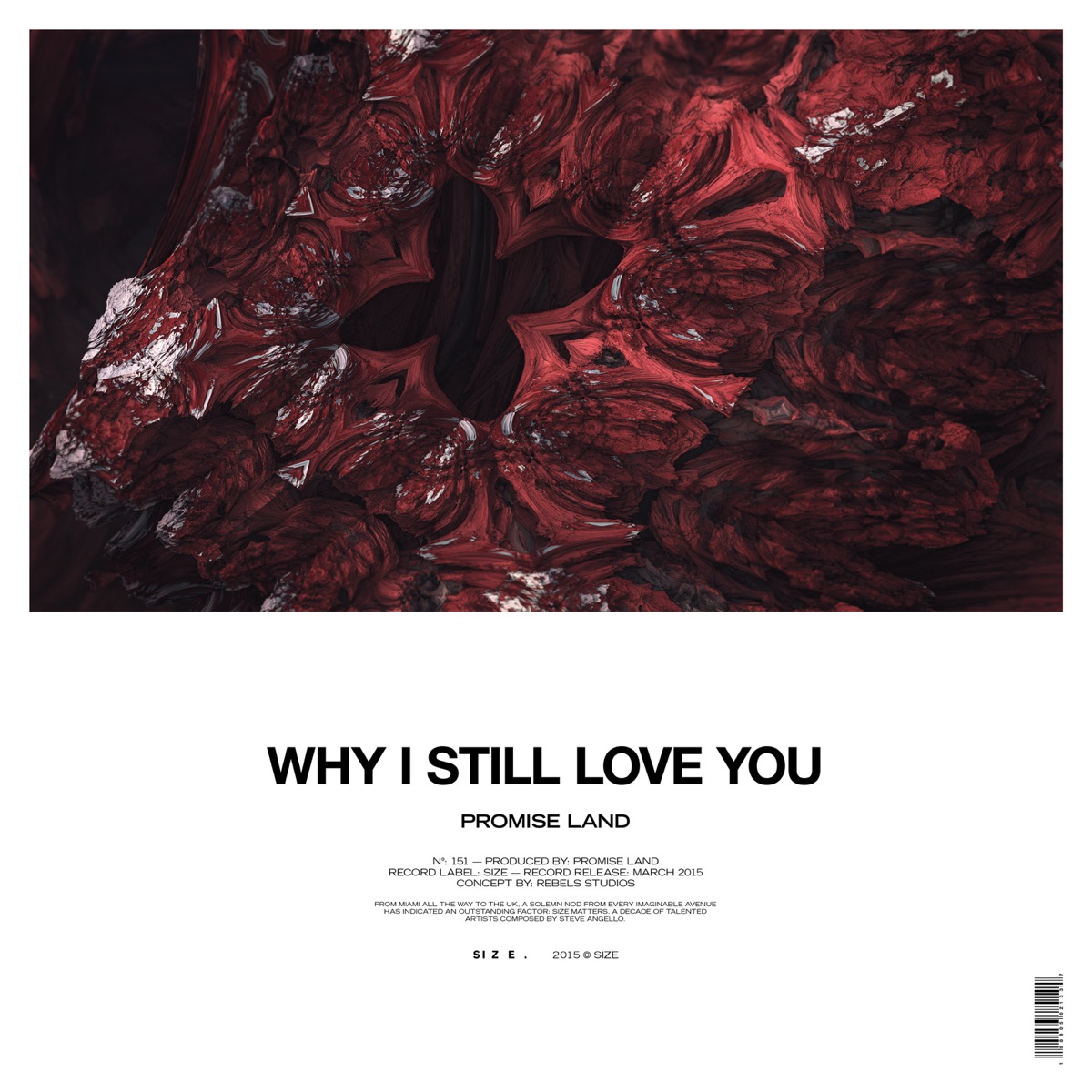 Why I Still Love You - Single by Promise Land album cover
