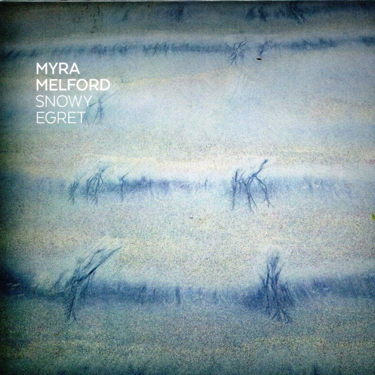 Snowy Egret by Myra Melford album cover